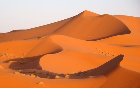 Des vagues de dunes à Chegaga Maroc (Vidas)